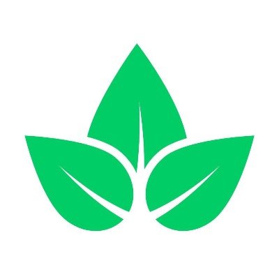 Able Finances Audit Report