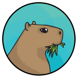 Capybara Token Audit Report