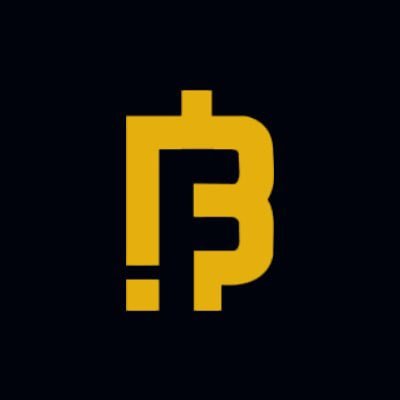 BFIC COIN Audit Report