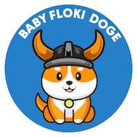 BabyFlokiDoge Audit Report