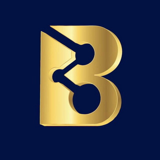 Bitco Mine Audit Report