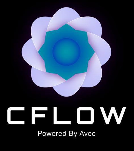 CFLOW Audit Report