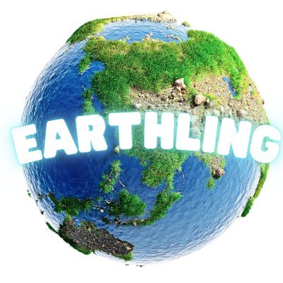Earthling Audit Report