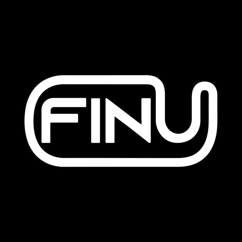 FINU Audit Report
