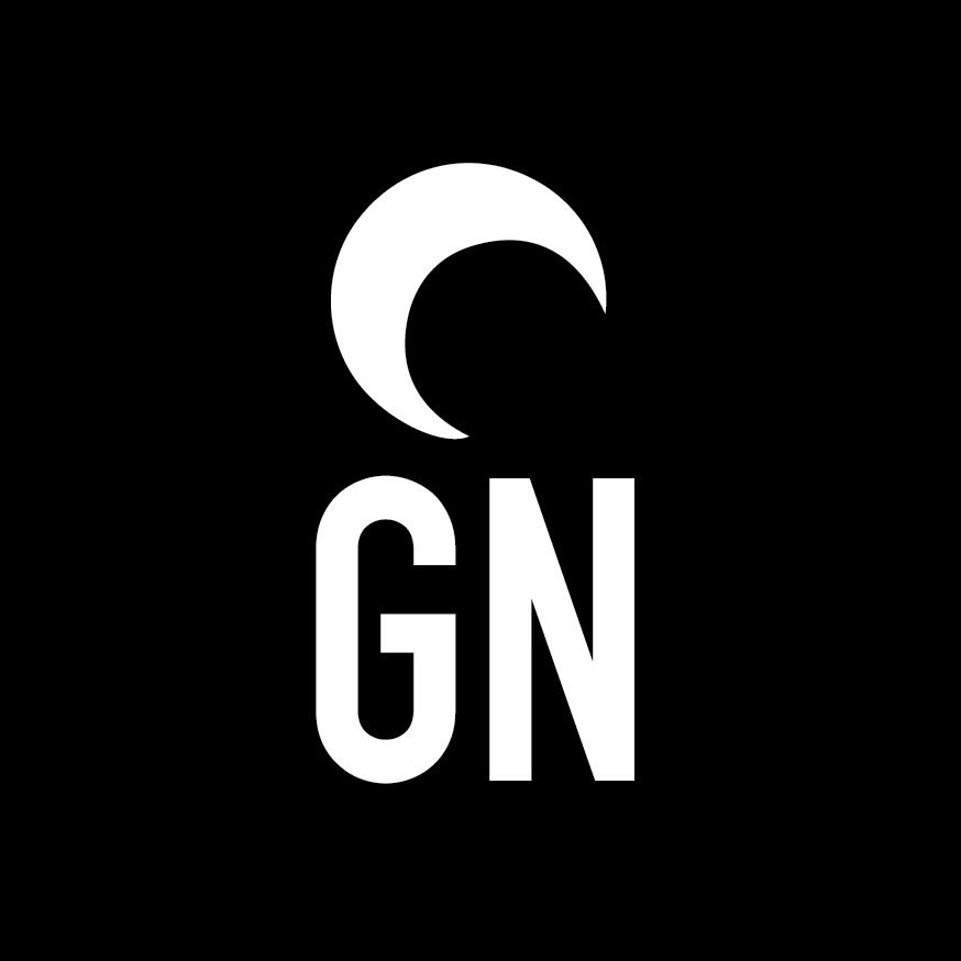 GN Audit Report