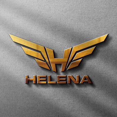 Helena Financial Audit Report