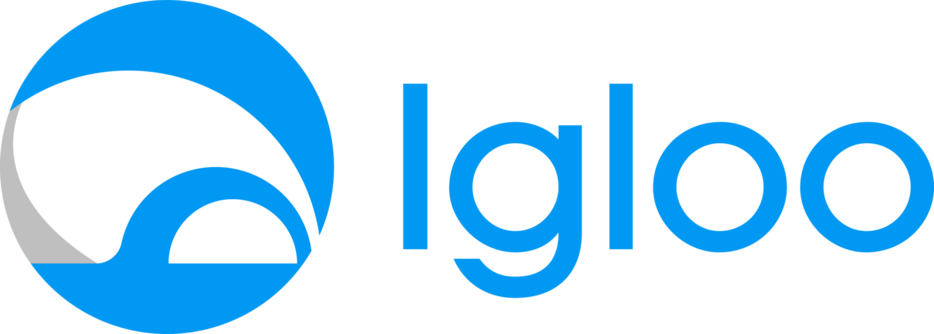 IGLOO Token Audit Report