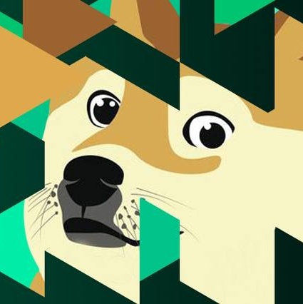 IoTexDoge Audit Report