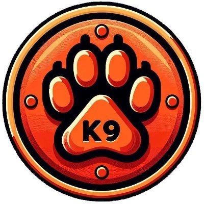 K9 Finance Audit Report