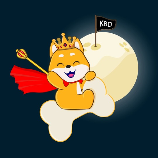 KingBabyDoge Audit Report