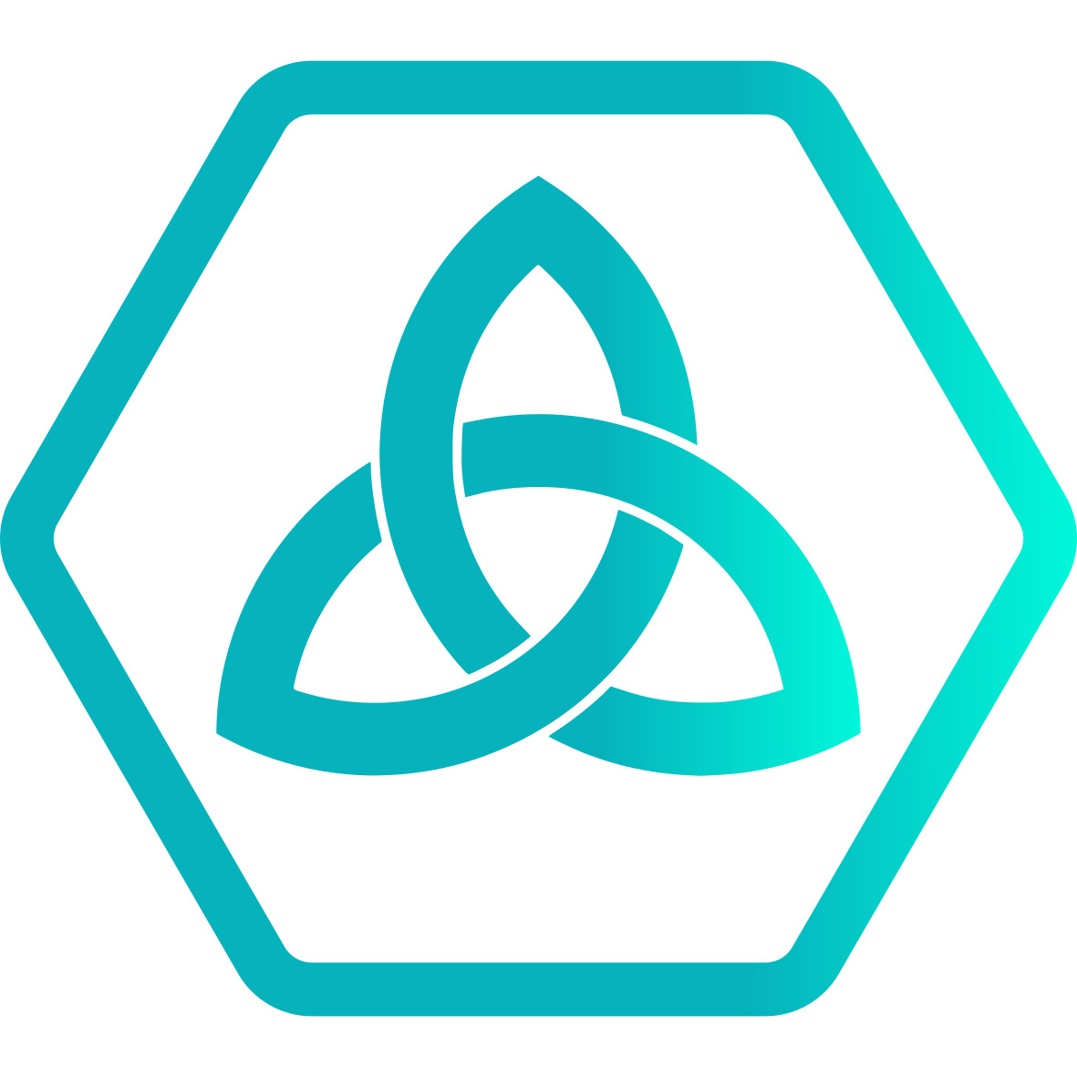 Master Wizard Audit Report