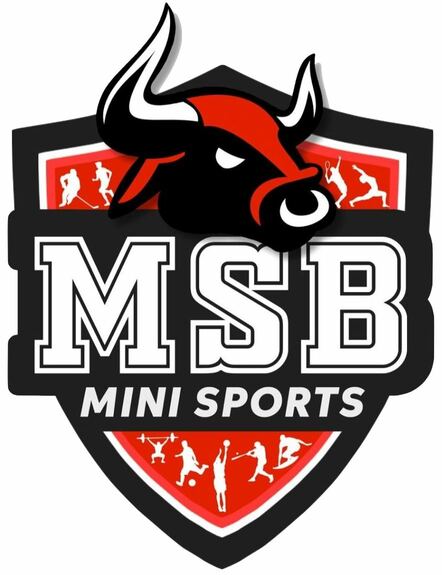Mini Sports Audit Report