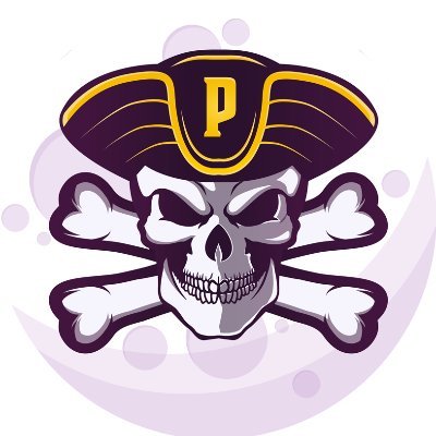  Pirate Coin Audit Report