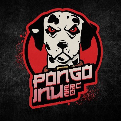 Pongo Inu Audit Report