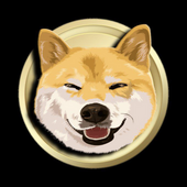 SHIBACONNECT Audit Report