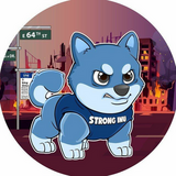 Strong Inu Node Audit Report