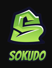 Sokudo Audit Report