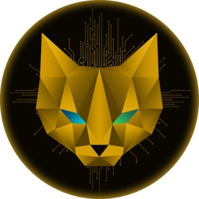 VANCAT Audit Report