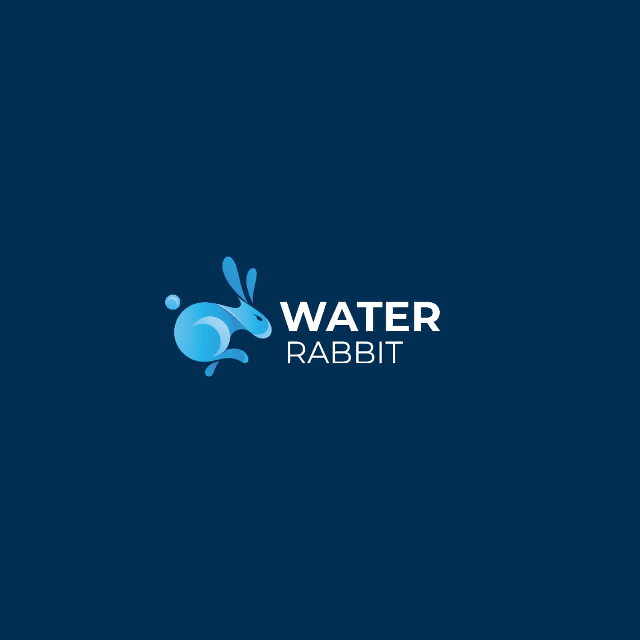 WATER RABBIT Audit Report